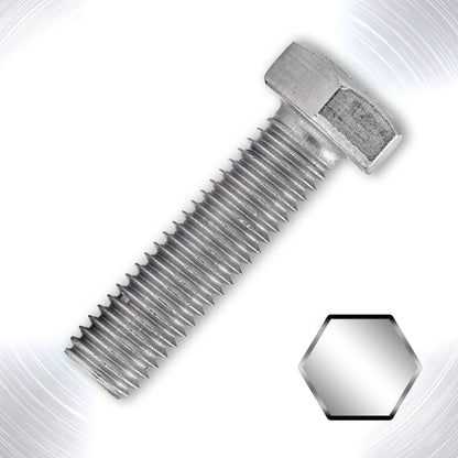 SS316 不銹鋼公制六角螺絲 (A4-70)