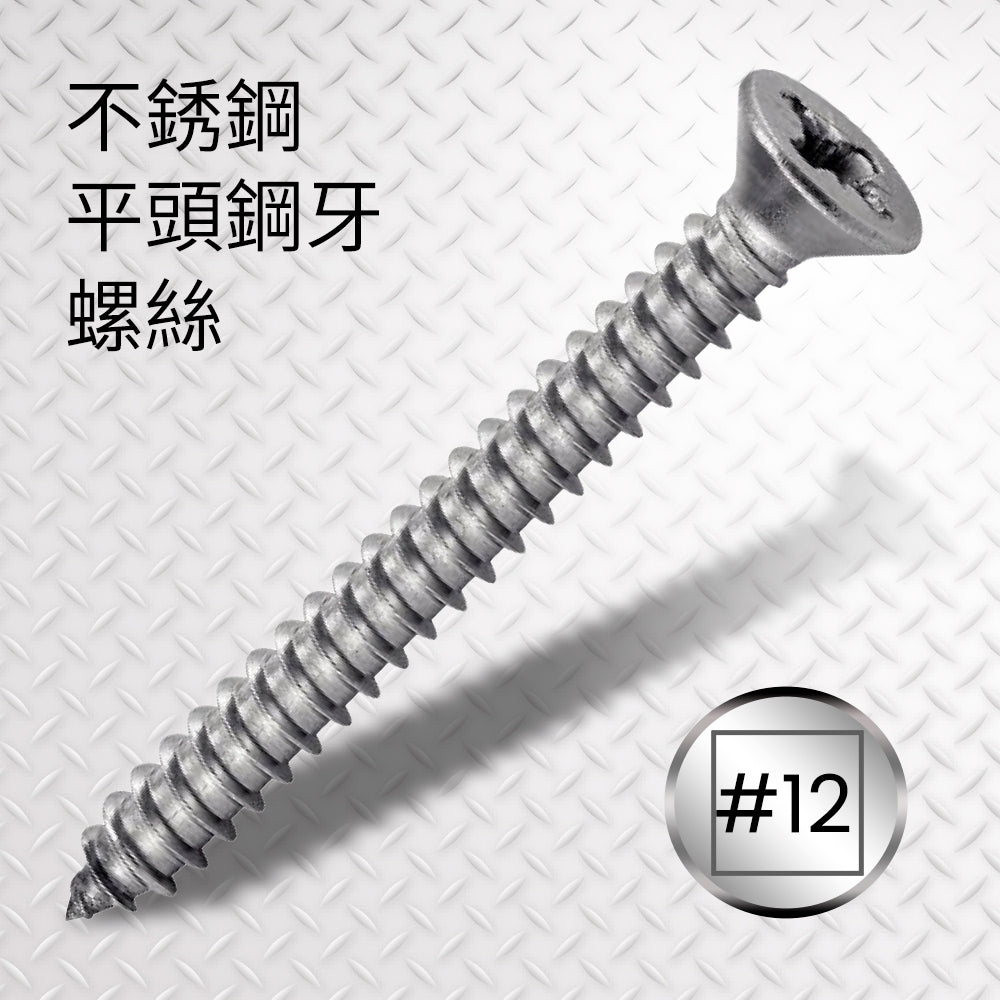 不銹鋼平頭鋼牙螺絲 #12